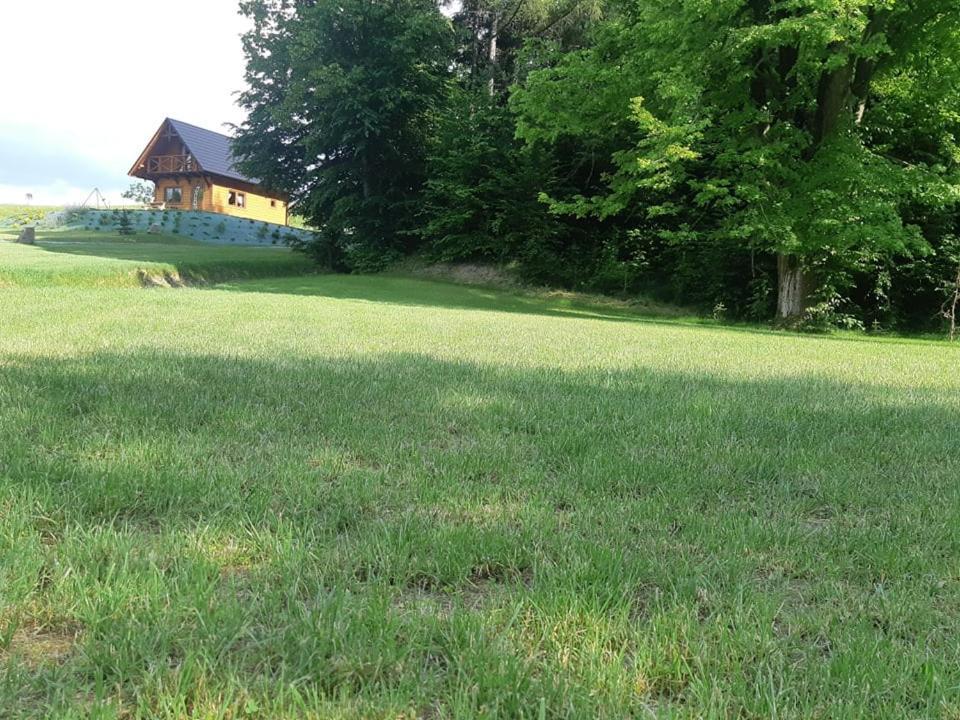 Domek na wzgórzu WILK Swiatkowa Mala Zewnętrze zdjęcie